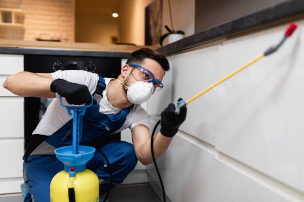 Best Commercial Pest Control Services  in Hackleburg, AL