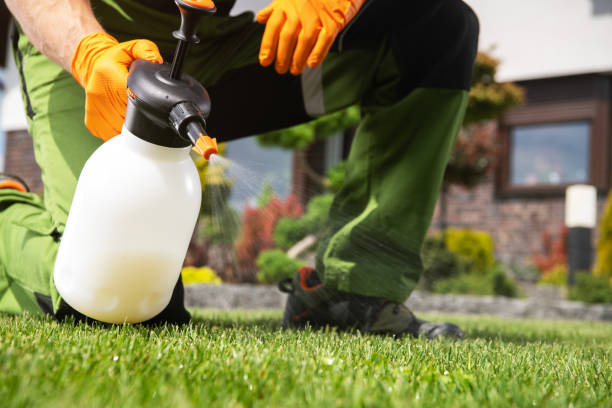  Hackleburg, AL Pest Control Pros