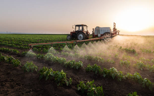 Best Wildlife Control Services  in Hackleburg, AL