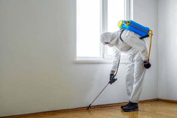 Best Flea Control Services  in Hackleburg, AL