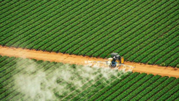 Pest Control Cost in Hackleburg, AL