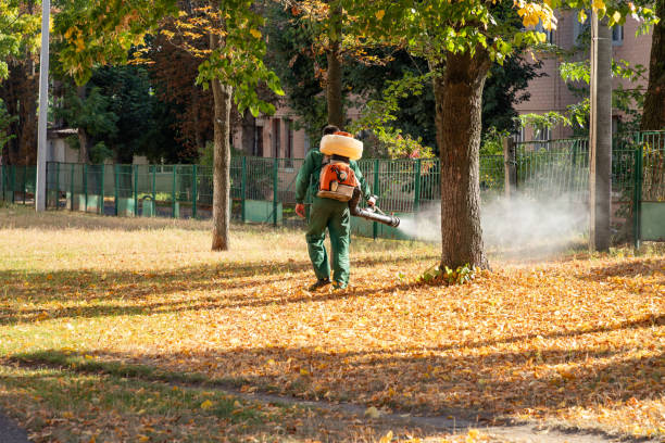 Best Bed Bug Extermination  in Hackleburg, AL