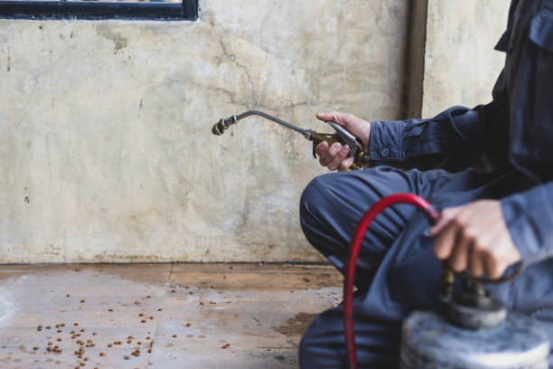 Best Affordable Exterminators  in Hackleburg, AL