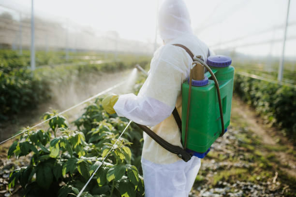 Best Pest Control Cost  in Hackleburg, AL